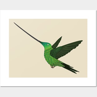 Sword-billed hummingbird cartoon illustration Posters and Art